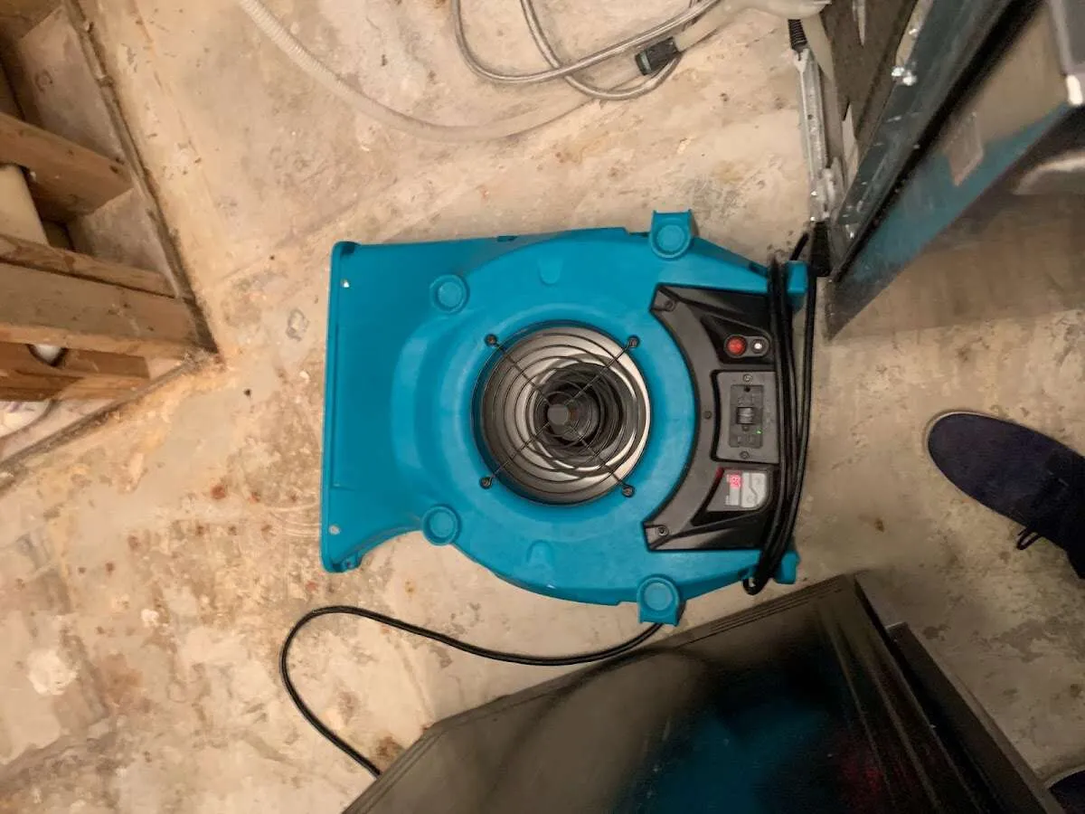 Air mover drying equipment for Mold Remediation & Removal in Lockport